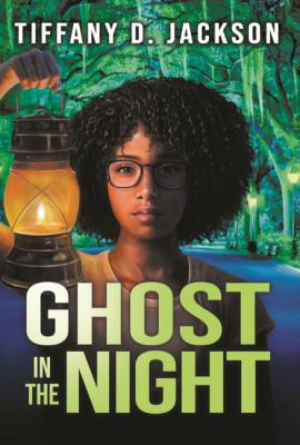 Ghost in the Night book cover