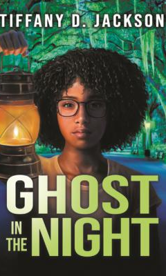 Ghost in the Night book cover