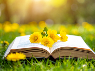 open book on the grass with yellow flowers on it