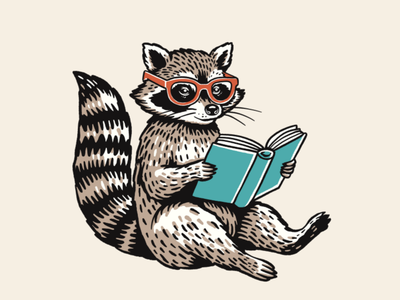 raccoon 